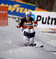 FIS Freestyle ski world Cup 2015
